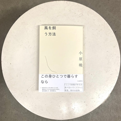 風を飼う方法