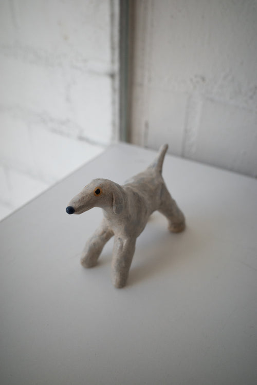 犬