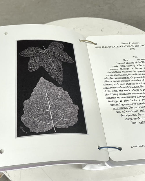THESAURUS OF CHILD ECOLOGY