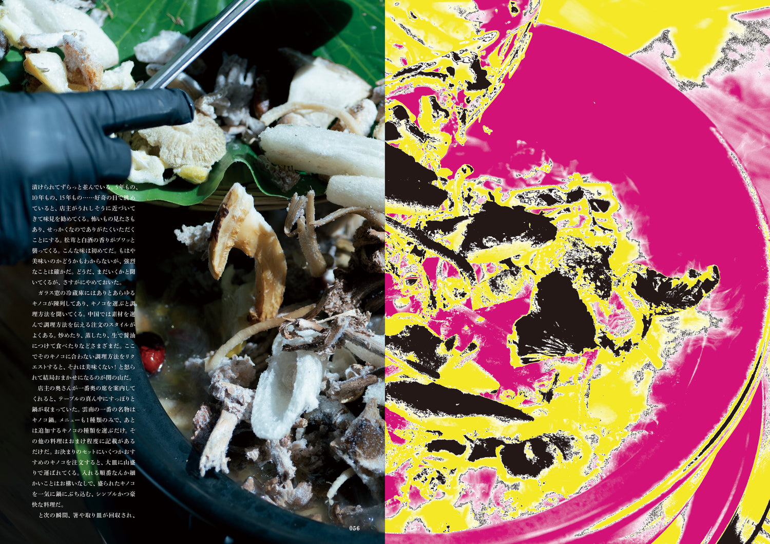 NEUTRAL COLORS 2026 ISSUE 7 HEALTH（トートバッグ付）